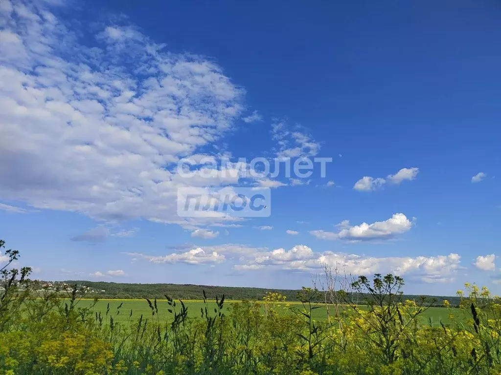Участок в Калужская область, Калуга Луч СДТ,  (18.0 сот.) - Фото 2
