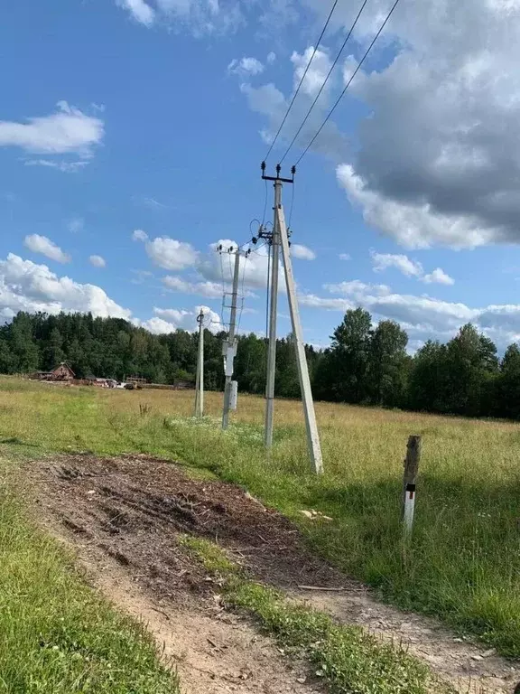 Участок в Ленинградская область, Тосненский район, Любанское городское ... - Фото 0