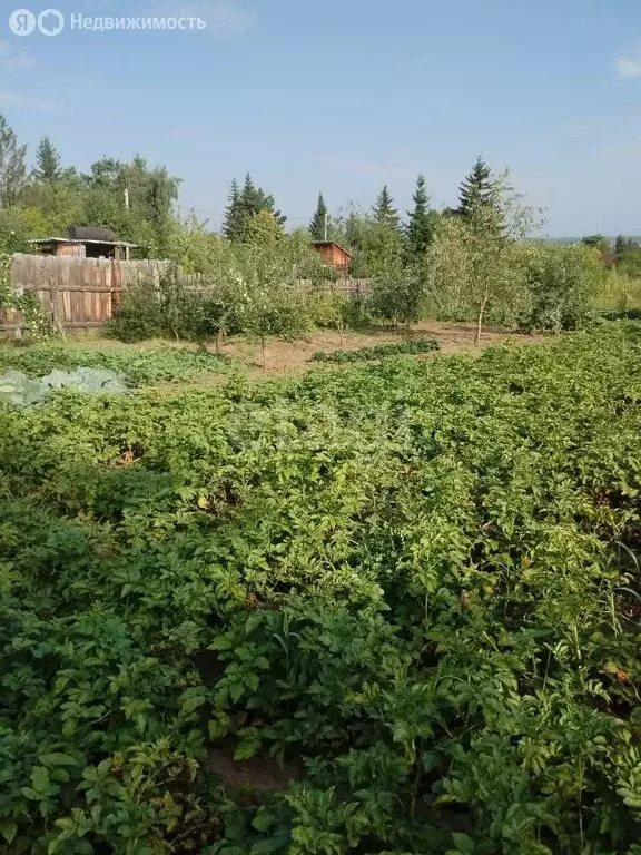Участок в село Подсинее, Садовая улица (6.4 м) - Фото 0