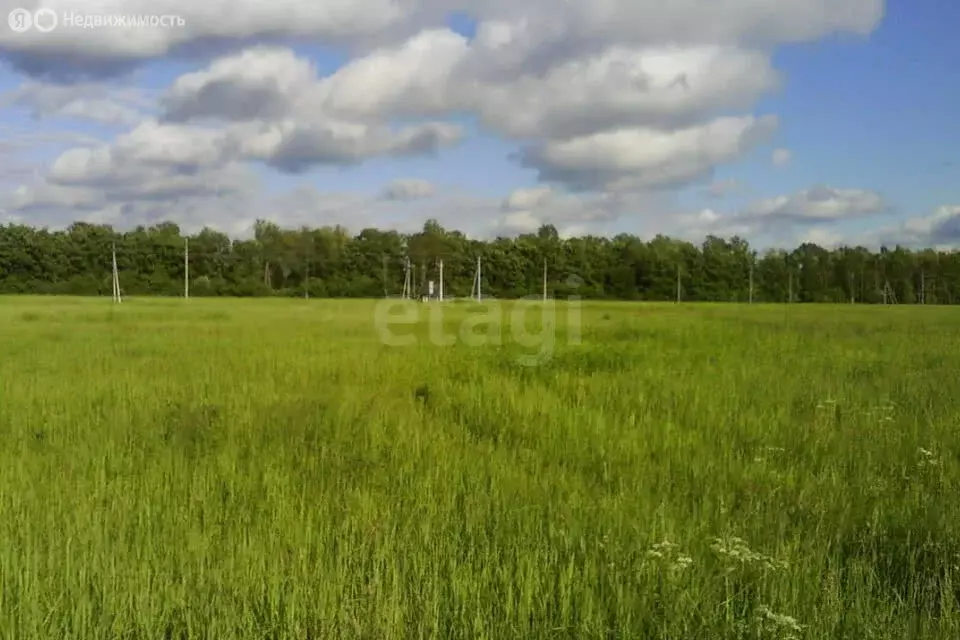 Участок в Ярославская область, Тутаевский муниципальный округ, деревня ... - Фото 2