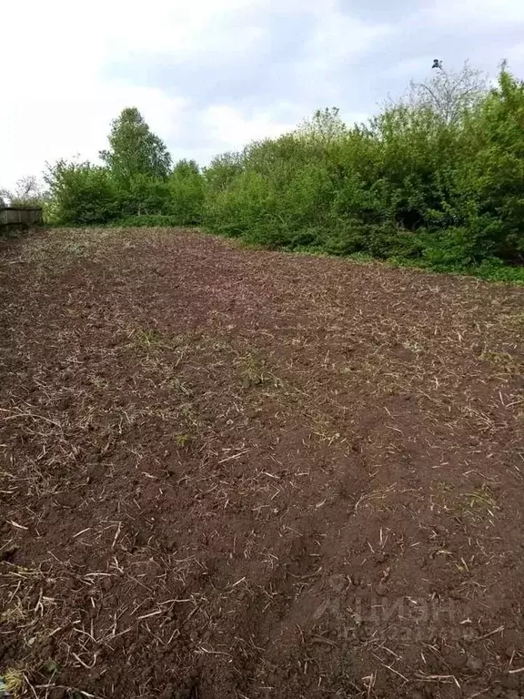 Дом в Пензенская область, Бессоновский район, с. Трофимовка ... - Фото 1