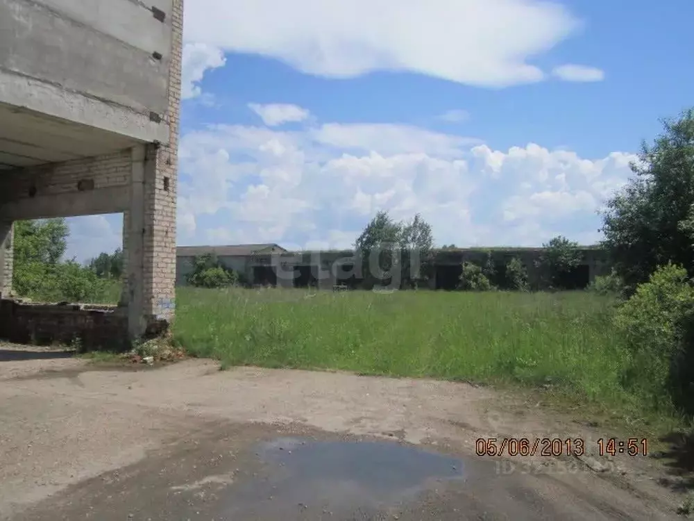 Участок в Брянская область, Гордеевский район, Петровобудское с/пос, ... - Фото 2