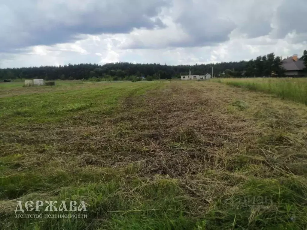 Участок в Белгородская область, Старооскольский городской округ, с. ... - Фото 0