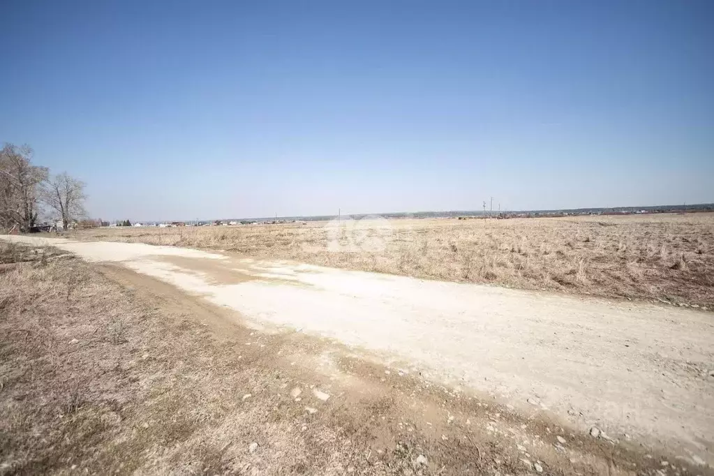 Участок в Новосибирская область, Искитимский район, Мичуринский ... - Фото 1