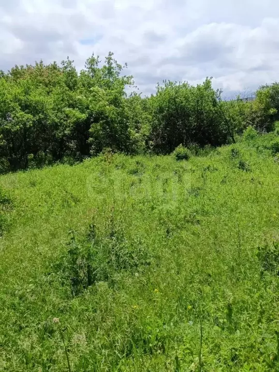 Участок в Ставропольский край, Предгорный муниципальный округ, пос. ... - Фото 1