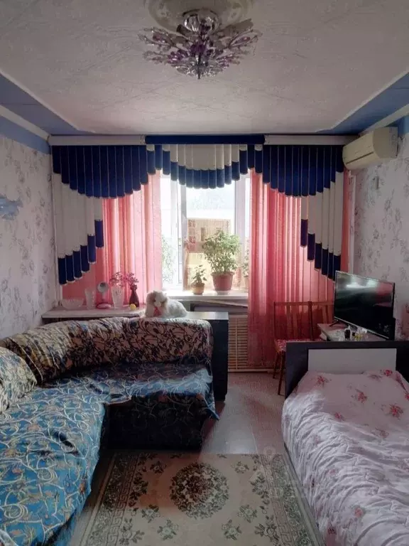 1-к кв. Оренбургская область, Орск пос. Строитель, ул. Радостева, 13 ... - Фото 1