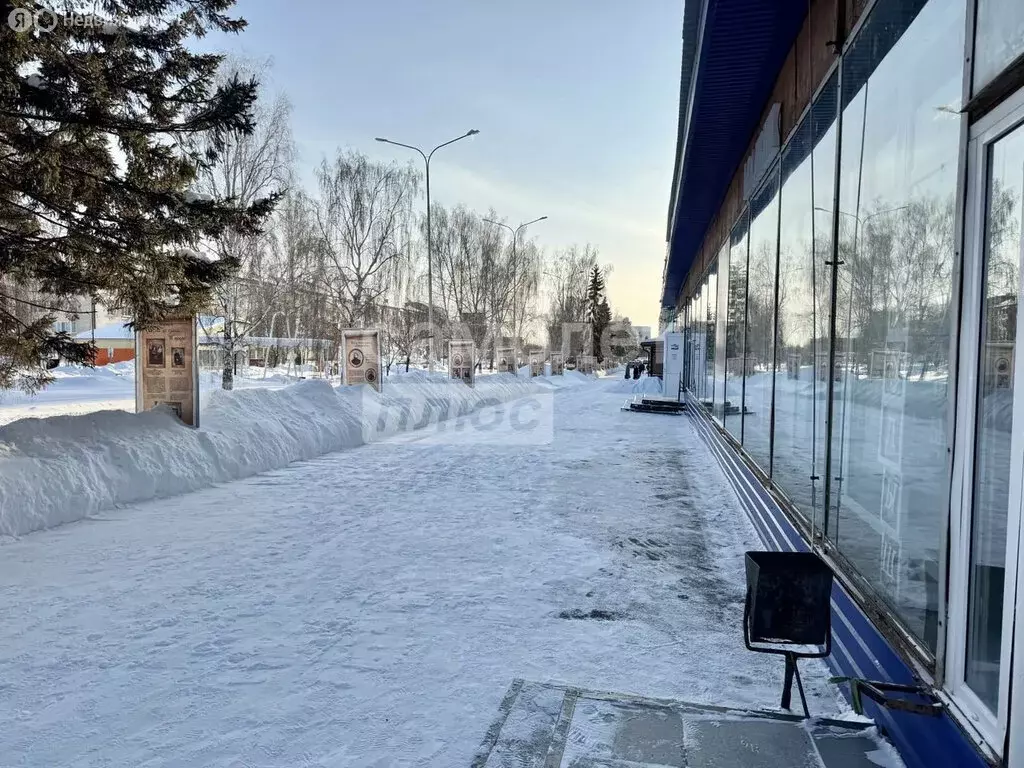 Помещение свободного назначения (293 м) - Фото 2