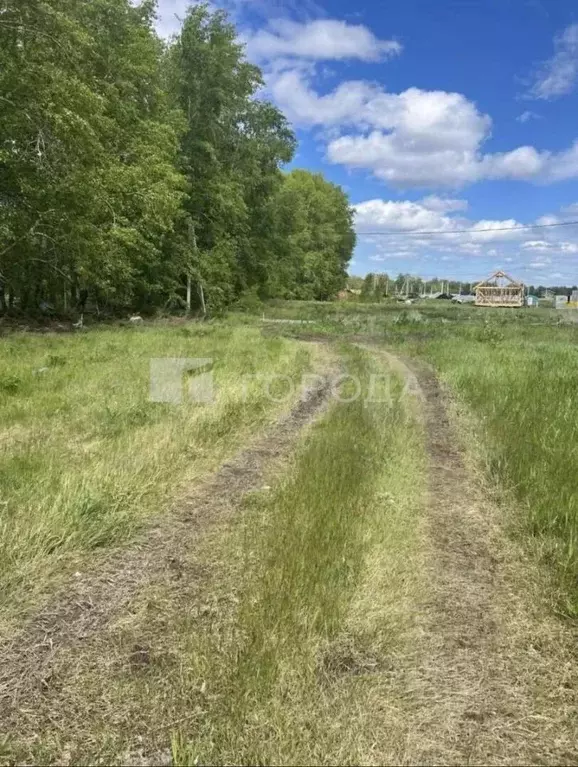 Участок в Новосибирская область, Новосибирский район, Морской ... - Фото 0