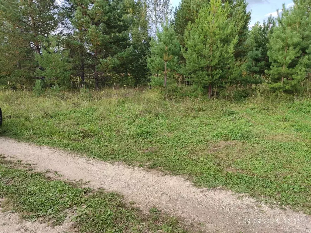 Участок в Татарстан, Высокогорское с/пос, Заря садоводческое ... - Фото 0