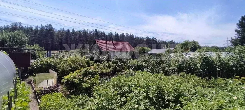 Дом в Алтайский край, Барнаул Власихинская ул., 67А (28 м) - Фото 1