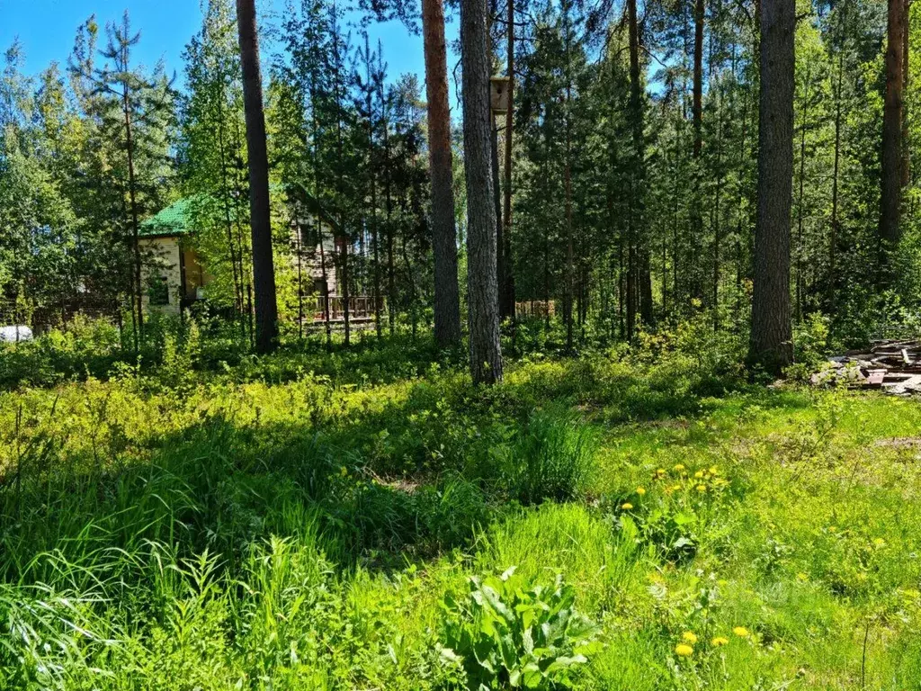 Дом в Ленинградская область, Гатчинский район, Вырица городской ... - Фото 1