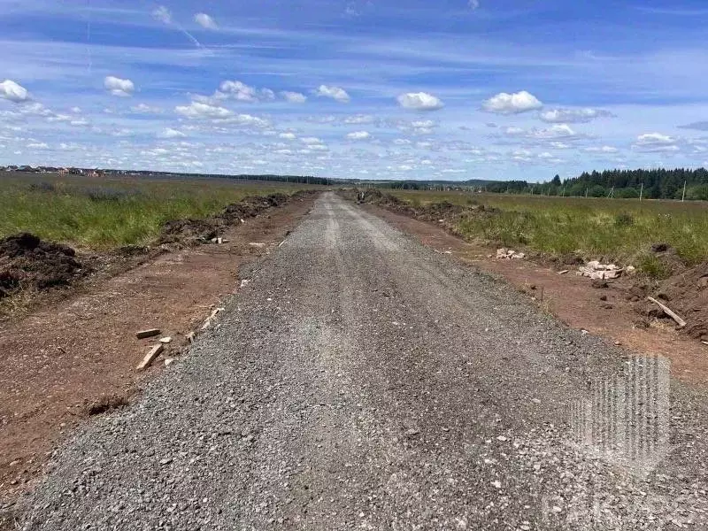 Участок в Пермский край, д. Косотуриха ул. Центральная (10.0 сот.) - Фото 0