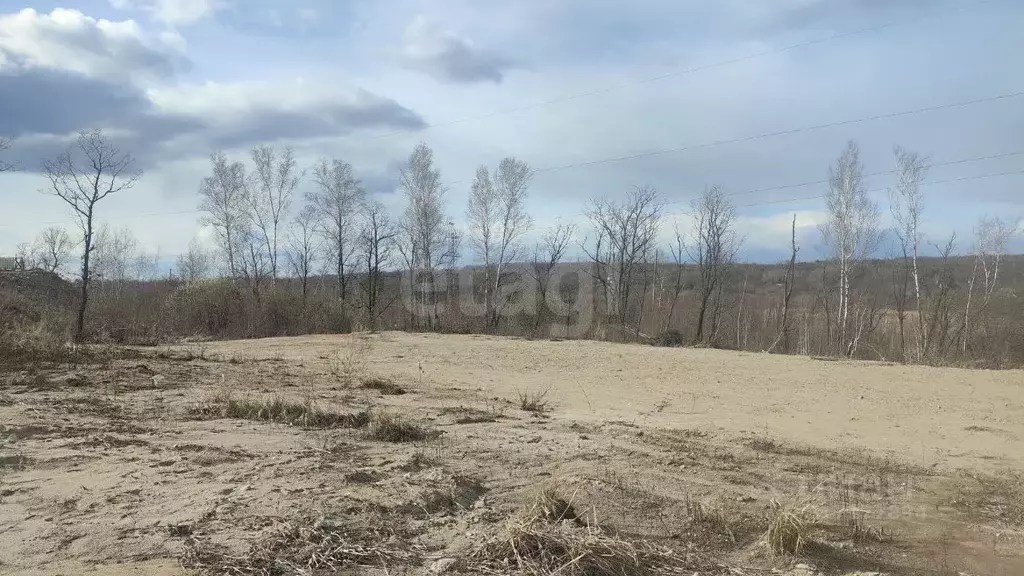Участок в Амурская область, Благовещенский район, с. Чигири  (7.3 ... - Фото 0