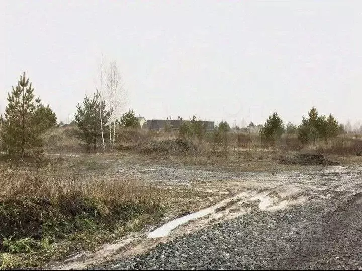 Участок в Тюменская область, Ялуторовск ул. Генерала Уварова (10.0 ... - Фото 1