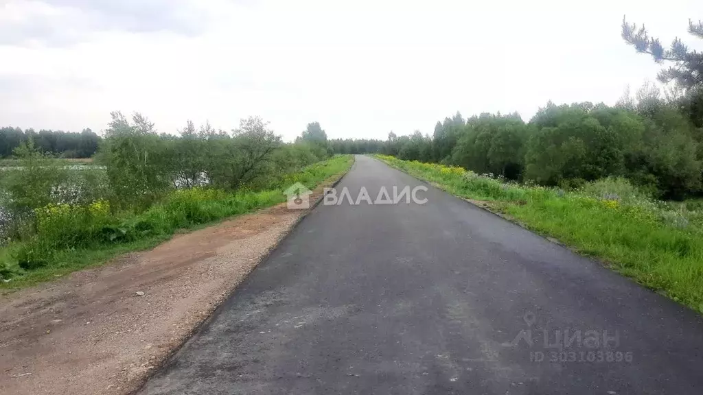 Участок в Нижегородская область, Городецкий муниципальный округ, д. ... - Фото 1