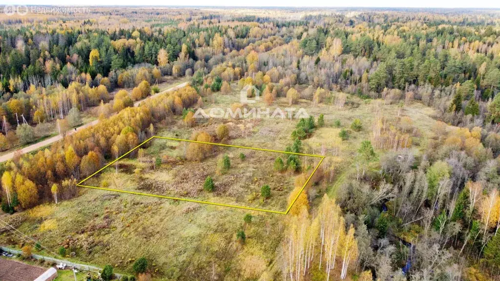 Участок в Мшинское сельское поселение (61.5 м) - Фото 0