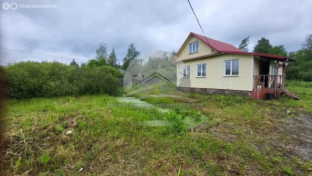 Дом в Трубичино, Рябиновая улица (49 м) - Фото 1