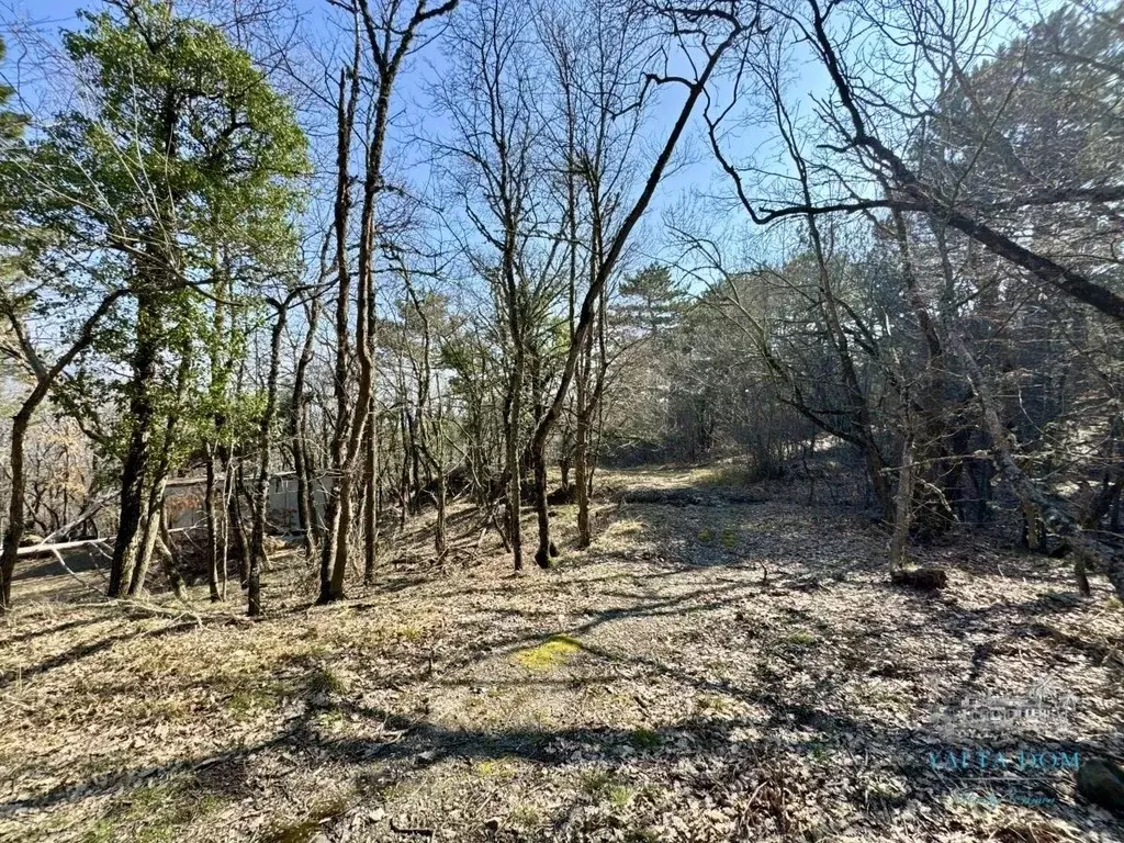 Участок в Крым, Ялта  (23.0 сот.) - Фото 1