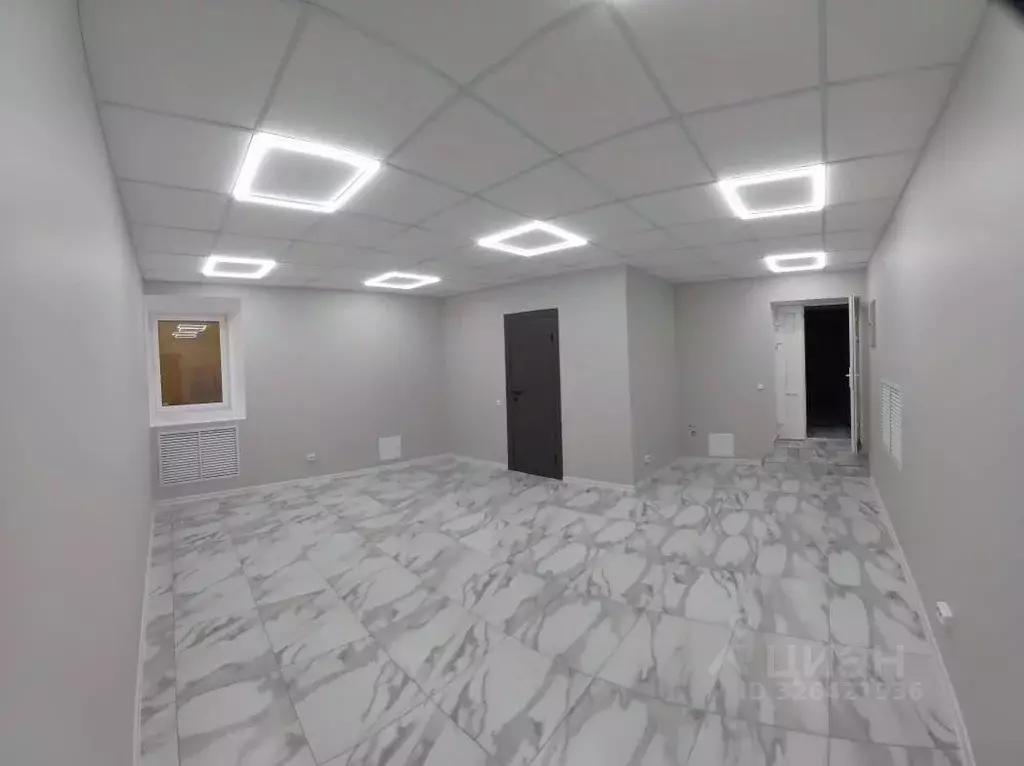 Помещение свободного назначения в Санкт-Петербург Угловой пер., 7 (42 ... - Фото 2