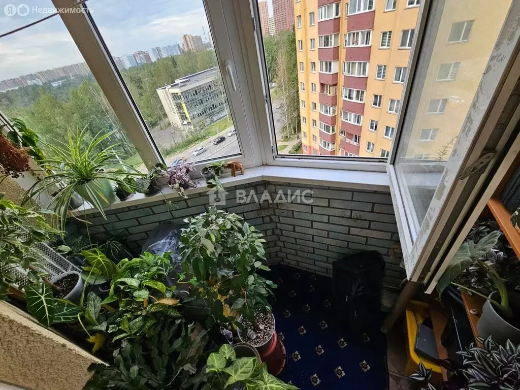 1-комнатная квартира: Мурино, Оборонная улица, 2к2 (31.3 м) - Фото 2