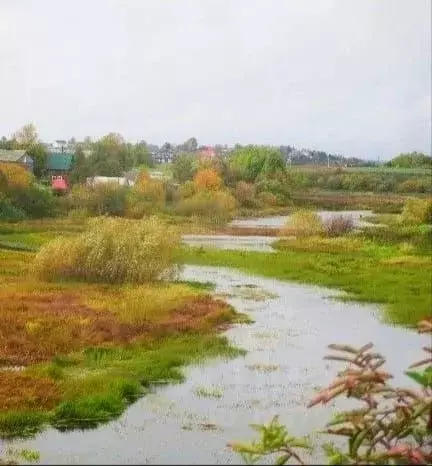 Участок в Архангельская область, Холмогорский муниципальный округ, д. ... - Фото 2