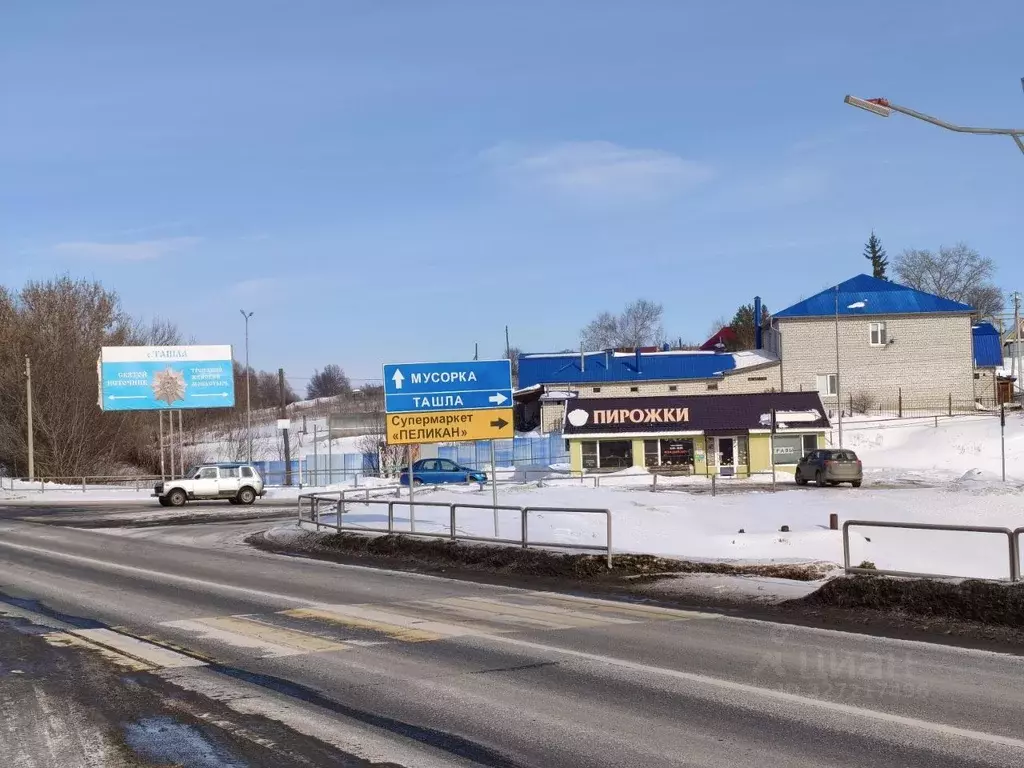 Участок в Самарская область, Ставропольский район, Мусорка с/пос, с. ... - Фото 1
