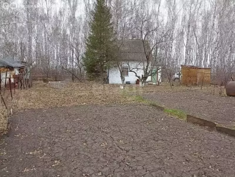 Дом в Омск, территория СОСН Урожай-1, 7-я аллея (30 м) - Фото 1