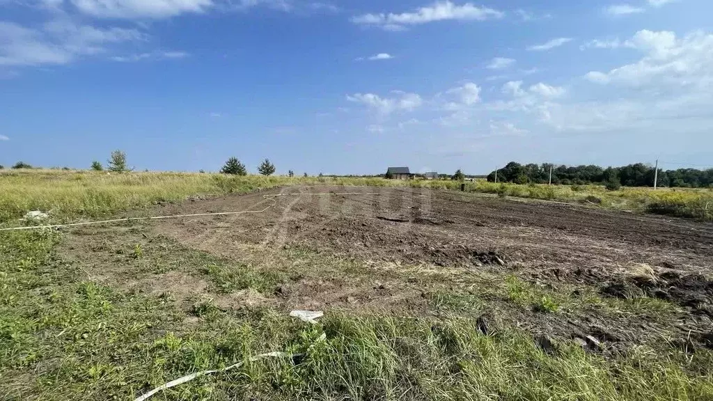 Участок в Курская область, Курский район, Моковский сельсовет, д. ... - Фото 1