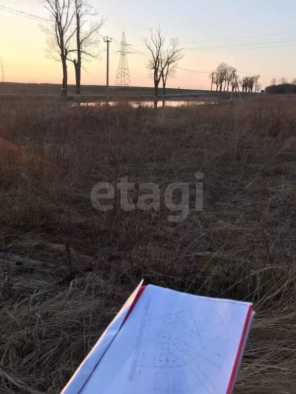 Участок в Калининградская область, Зеленоградский муниципальный округ, ... - Фото 0