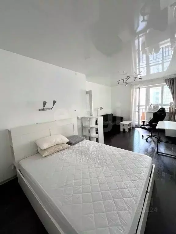 1-к кв. Новосибирская область, Новосибирск ул. Фрунзе, 234 (43.0 м) - Фото 0