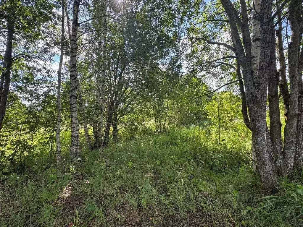 Участок в Московская область, Волоколамский муниципальный округ, д. ... - Фото 1