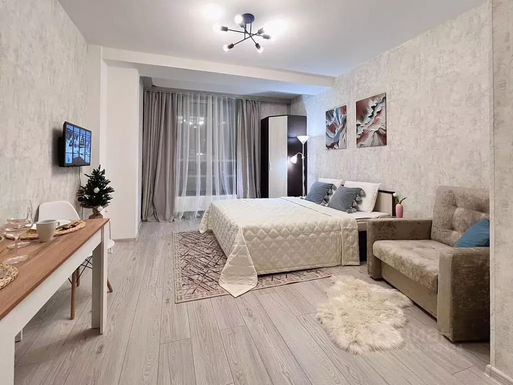 Студия Санкт-Петербург ул. Кустодиева, 5к1 (27.0 м) - Фото 1