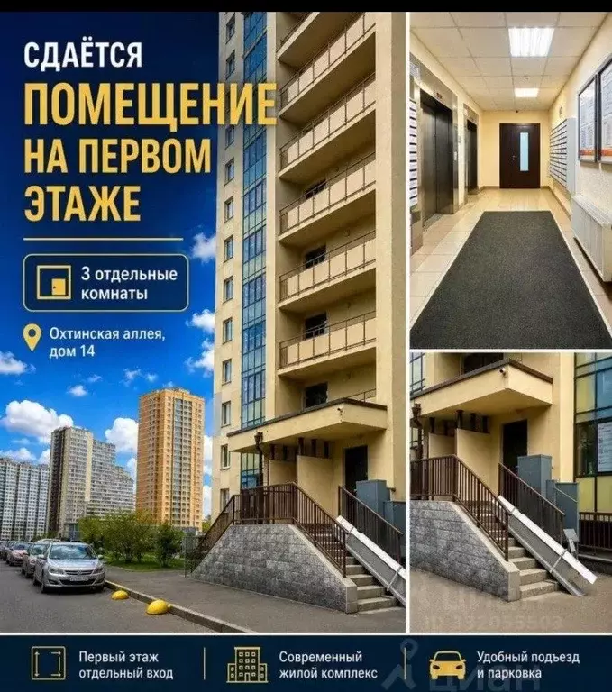 Офис в Ленинградская область, Мурино Всеволожский район, аллея ... - Фото 1