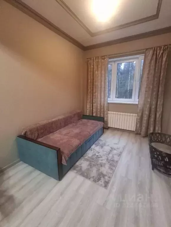 1-к кв. Московская область, Богородский городской округ, д. Щемилово ... - Фото 2