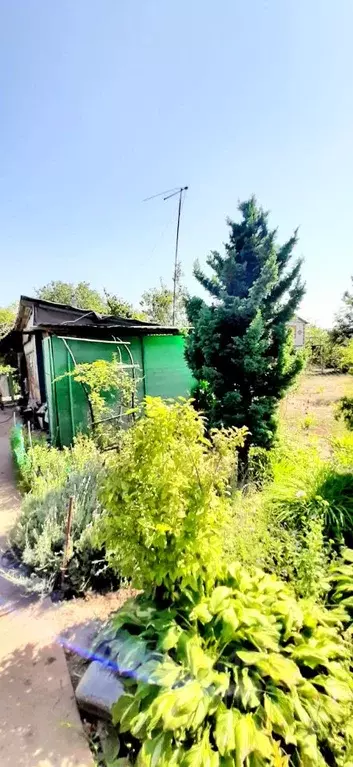 Дом в Волгоградская область, Дубовский район, Пичужинское с/пос, ... - Фото 0