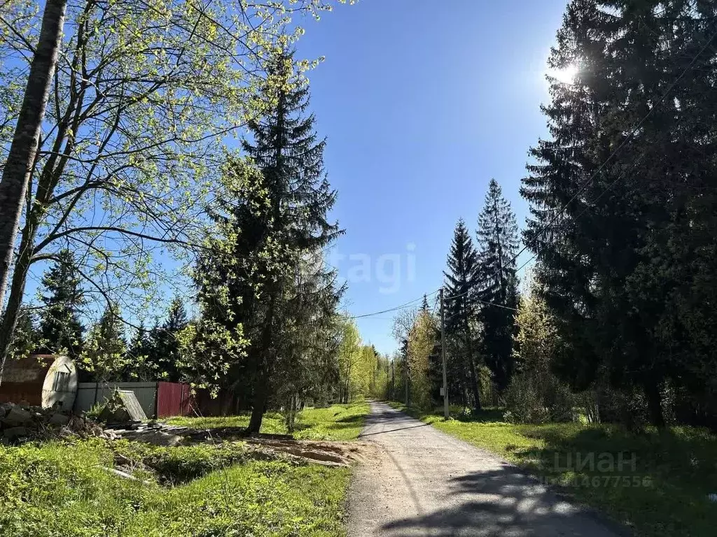 Участок в Московская область, Клин городской округ, Лесной ДСК  (12.0 ... - Фото 0