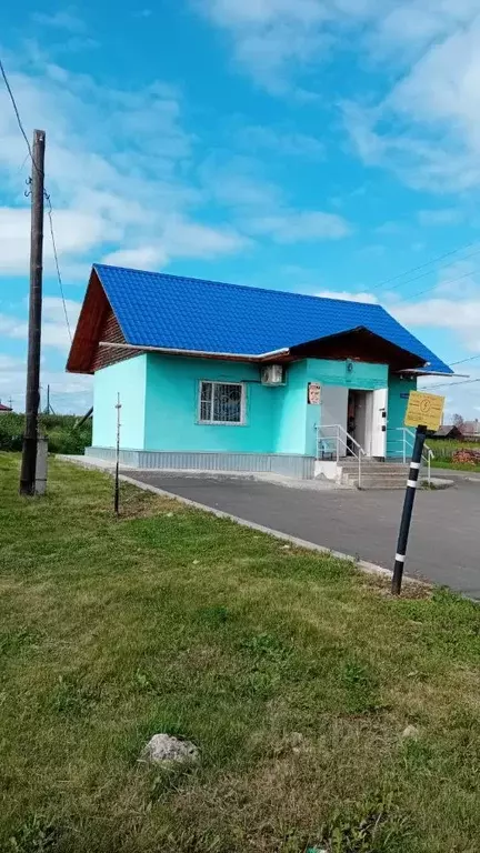 Помещение свободного назначения в Свердловская область, Алапаевский ... - Фото 1