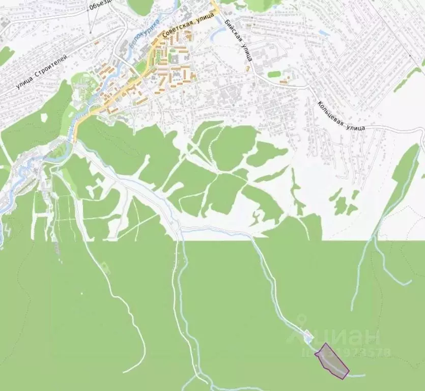 Участок в Алтайский край, Белокуриха ул. Угрюмова, 47 (6.0 га.) - Фото 2