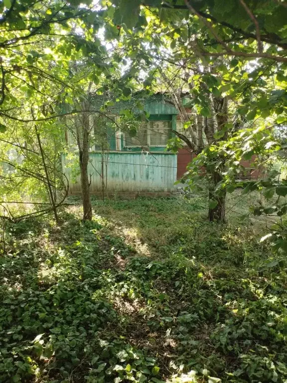 Участок в Краснодарский край, Краснодар Берег Кубани ВНИИ риса садовое ... - Фото 1