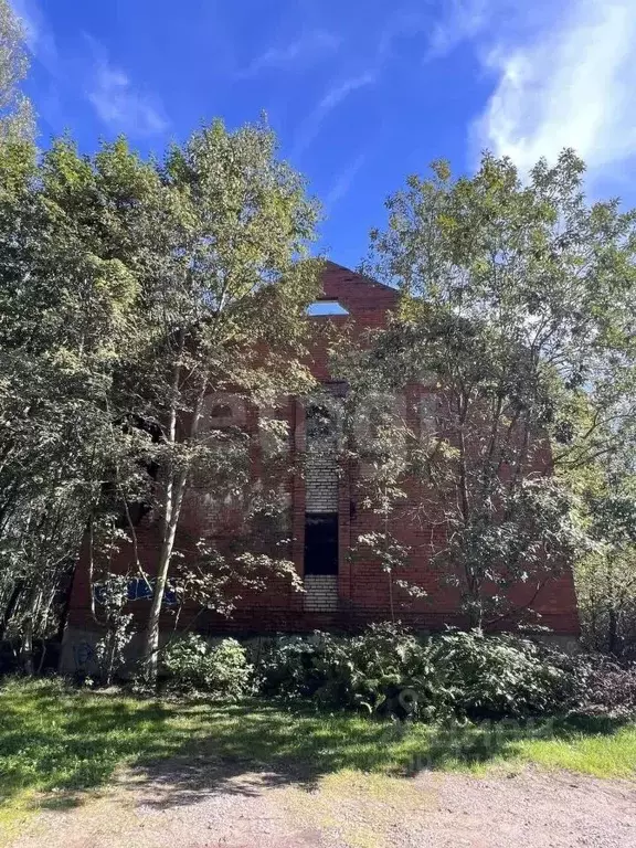 Участок в Ленинградская область, Всеволожский район, д. Новое ... - Фото 1