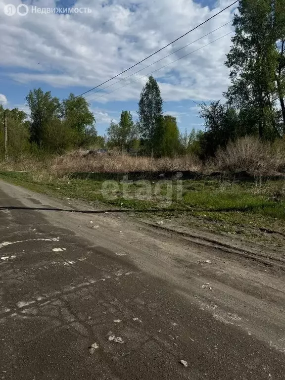 Участок в Бийск, посёлок Сорокино, Майская улица (15 м) - Фото 2