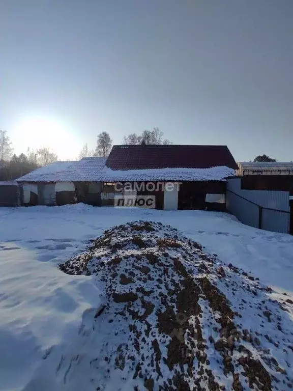 Участок в Иркутская область, Иркутский муниципальный округ, с. Мамоны, ... - Фото 2