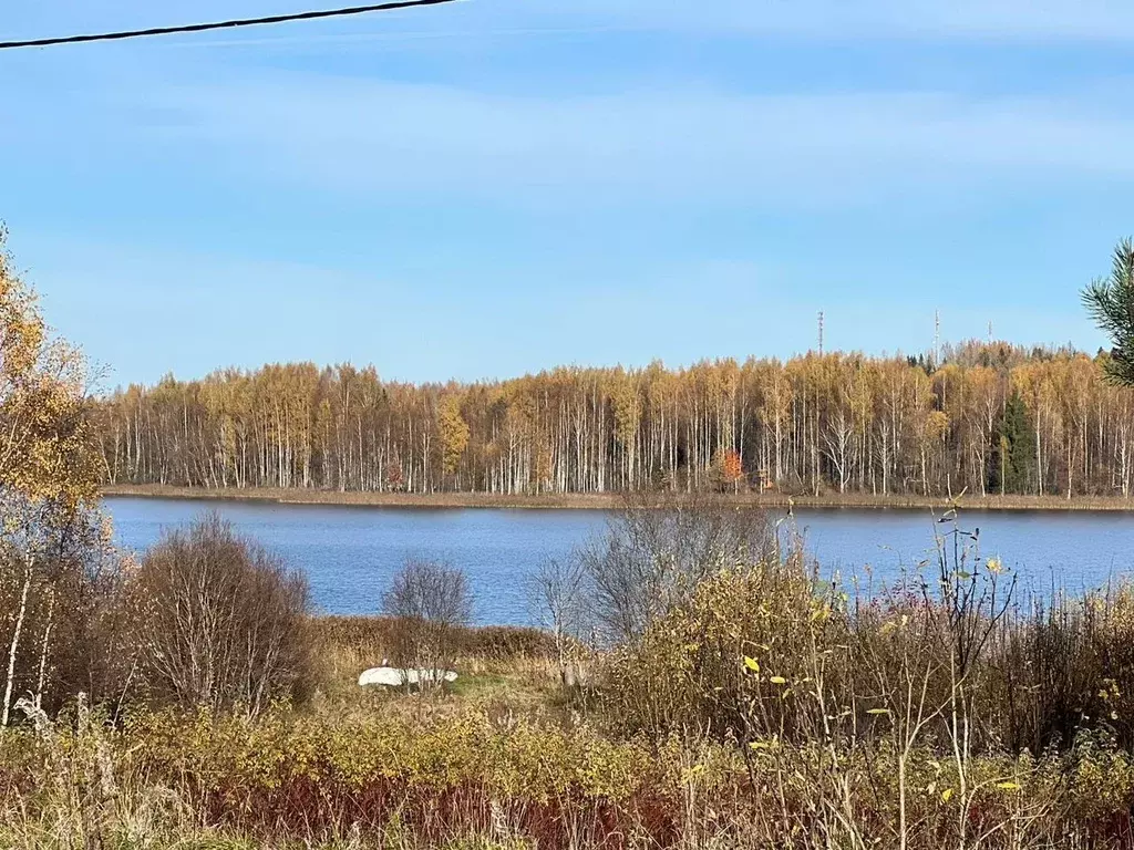 Участок в Новгородская область, Валдайский район, Короцкое с/пос, д. ... - Фото 0