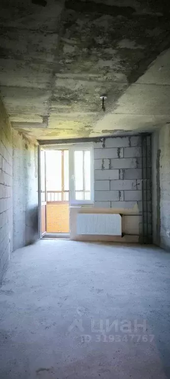 Квартира, студия, 24.3 м - Фото 1
