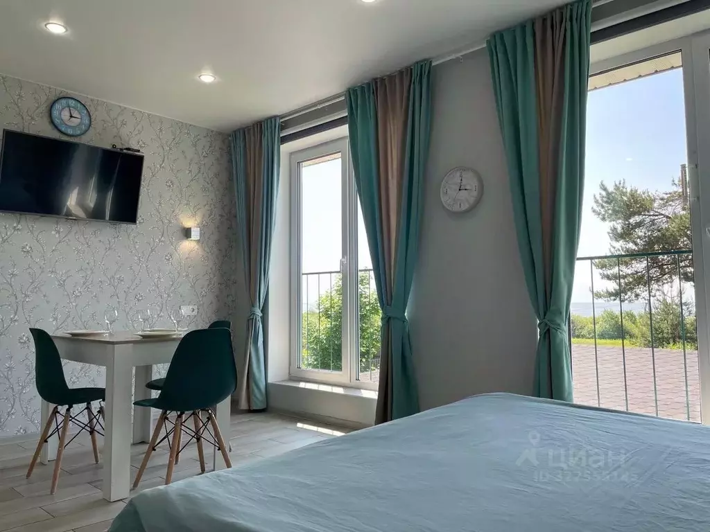 1-к кв. Псковская область, Гдовский район, д. Спицино 135 (30.0 м) - Фото 0