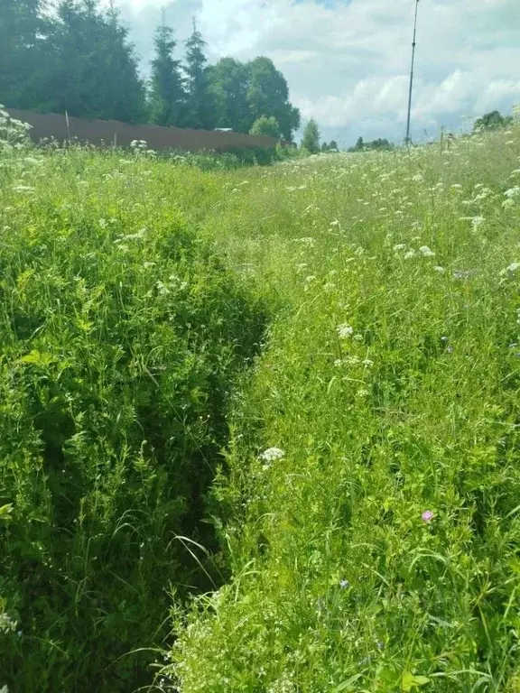 Участок в Московская область, Клин городской округ, д. Степаньково  ... - Фото 1