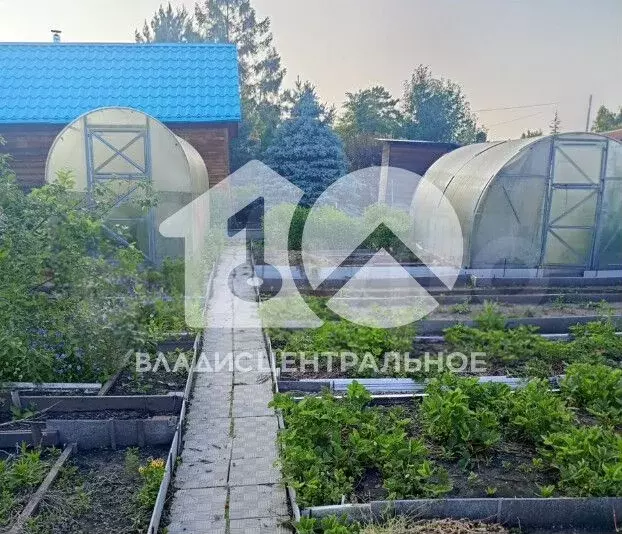 Участок 7 сот. (СНТ, ДНП) - Фото 1