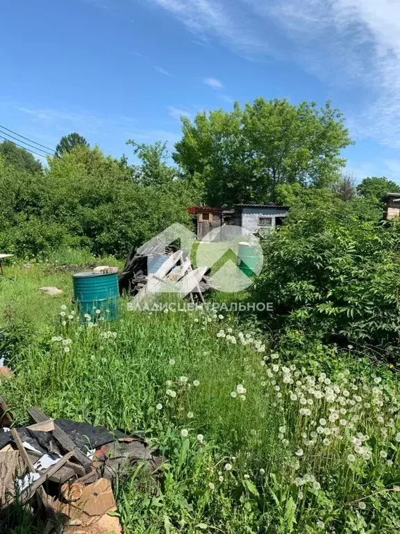 Участок в Новосибирская область, Новосибирск Садовод Сибирь 2 СНТ,  ... - Фото 1