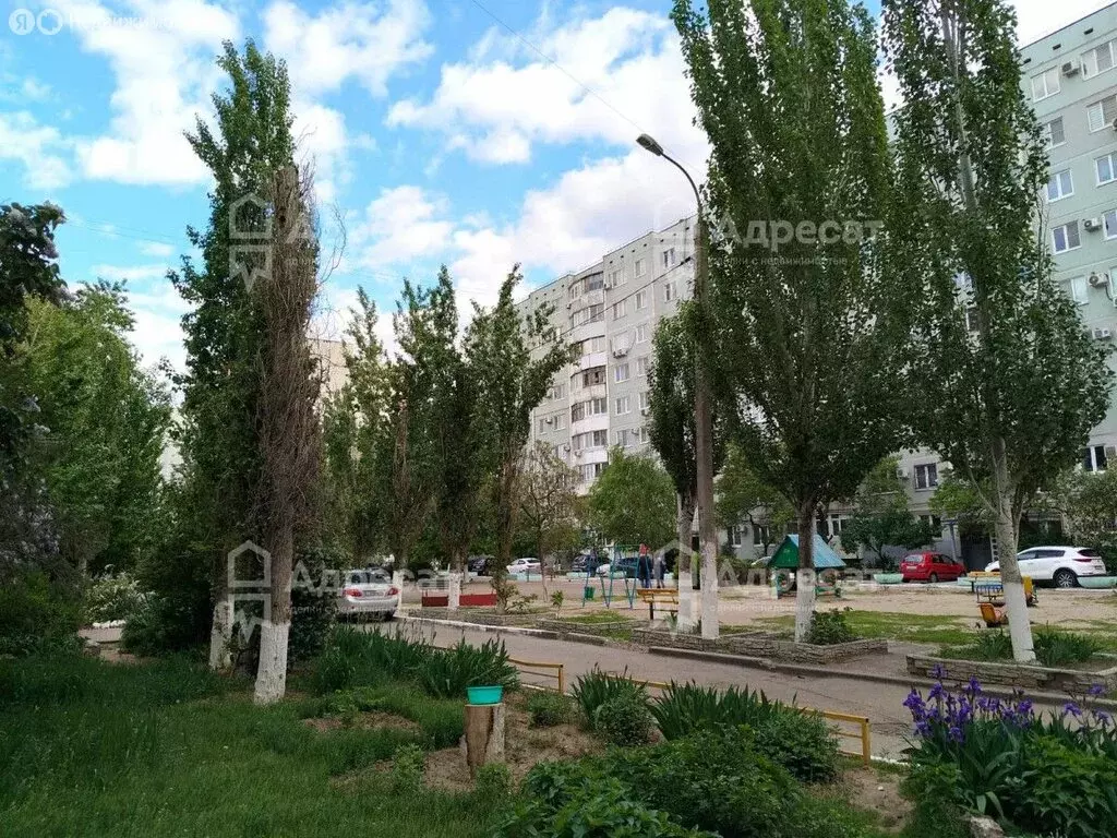 2-комнатная квартира: Волгоград, бульвар Энгельса, 27 (50 м) - Фото 0