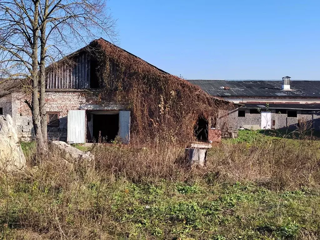 Склад в Московская область, Домодедово городской округ, с. Никитское ... - Фото 0